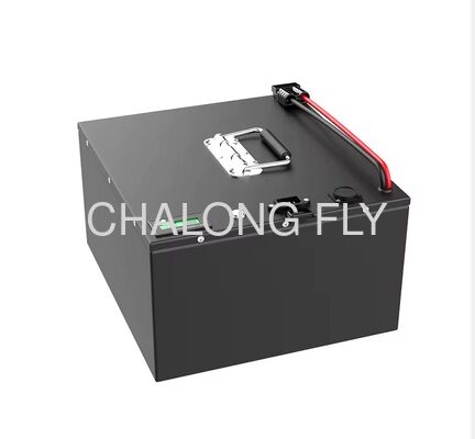 OEM ODM LiFePO4 Battery Pack with IP67 Waterproof Customized Capacity and CAN/RS485 BMS for Agricultural Robots and UGVs