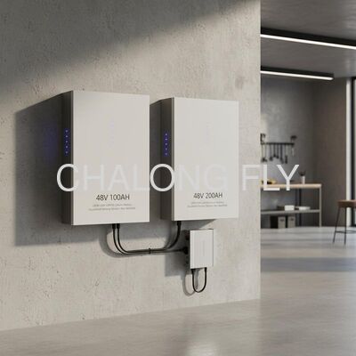 OEM ODM LiFePO4 Lithium Battery Household Battery Storage System Wall Mounted 48V 200AH with Built-in BMS and IP65 Protection