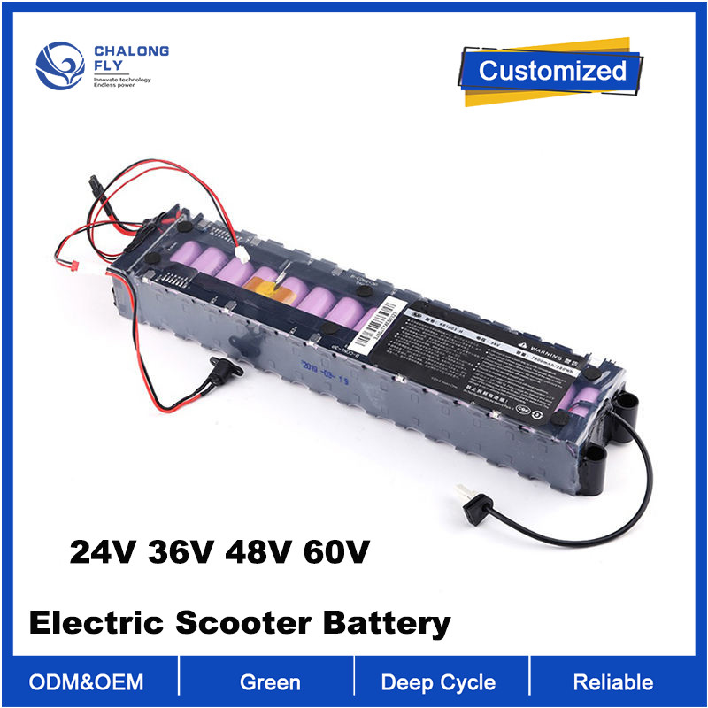 OEM ODM LiFePO4 lithium battery pack Customized Electric scooter battery 24V 36V 48V 6Ah 7.8Ah 10.5Ah 18Ah