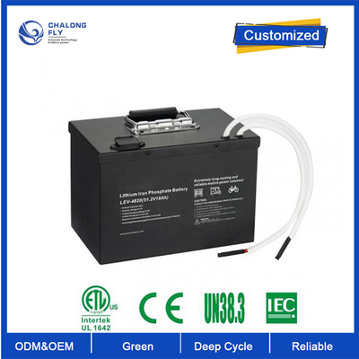 OEM ODM LiFePO4 lityum bataryası 24100 24v 200ah Lifepo4 bataryası Özel batarya lityum batarya paketleri