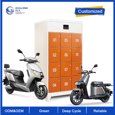 OEM ODM LiFePO4 Lityum Ebike Scooter Pil Değiştirme İstasyonu Dolabı Hızlı Şarj Özelleştirilmiş pil