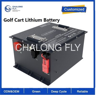 Elektrikli Golf Arabası Lityum Pilleri 48V 72V 96V 50Ah 100Ah 105Ah 150Ah Li Ion Lityum Pilleri LifePO4 Elektrikli Üçtekli Motosiklet Pil Paketi
