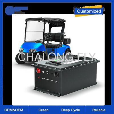 48V 100Ah Golf Araba Lityum Pil Bluetooth ve 4000 Dönümlü Elektrikli Golf Arabaları için LiFePO4 Pil