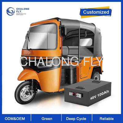 Yüksek Güçlü Lityum İyon LiFePO4 Bataryası 48V25AH 50AH 75AH 100AH Elektrikli Araç Motor Kontrolörü 2000W 3000W 5000W EV Bataryası