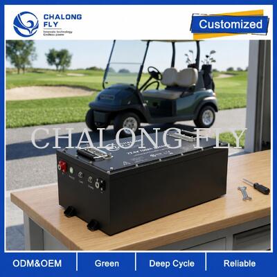 Özel Voltajlı, Özel BMS'li ve CAN İletişimli OEM ODM LiFePO4 Golf Arabası Aküsü