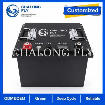 OEM Özel LiFePO4 Batarya, Akıllı BMS ve Metal Kasa ile DC Makaslı Platform ve Hava Çalışma Platformu için