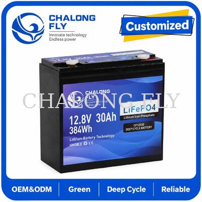 12.8V 30Ah LiFePO4 Derin Döngü Batarya, 384Wh Enerji ve 12V Sistemler İçin Akıllı BMS ile